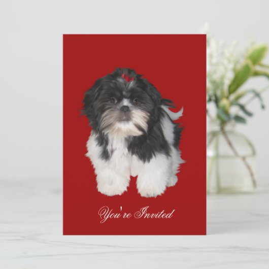 Uitnodigingen Shitzu Shih Tzu Puppy Honden (Staand voorkant)