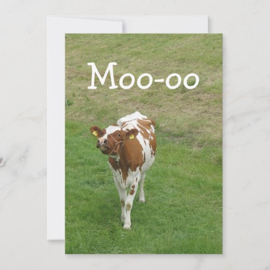 Uitnodigingen van Kooppartijen (Voorkant)