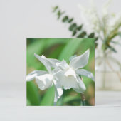 Uitnodigingen voor het kleinbeker (Staand voorkant)