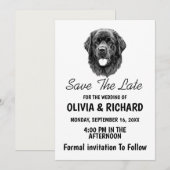 Uitnodigingskaart Newfoundlander hond Kaart (Voorkant / Achterkant)