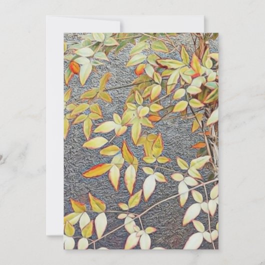 Uitnodigingskaarten / kaart (Voorkant)