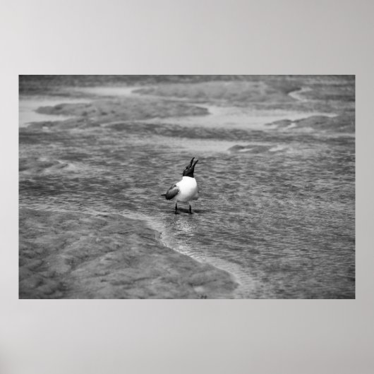 Uitroepen Poster (Voorkant)