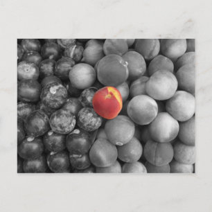 Uitsluitend Briefkaart