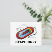 Uitsluitend voor gebruik in de stapel (Bacteria He Briefkaart (Staand voorkant)