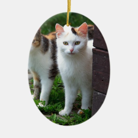 Uitspelen van katten keramisch ornament (Voorkant)