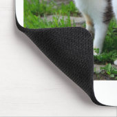 Uitspelen van katten muismat (Hoek)