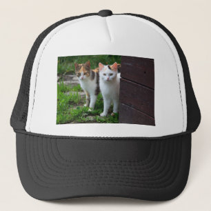 Uitspelen van katten trucker pet