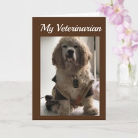 UITSTAPPEN EN JE DAG VIEREN *DIERENARTS"