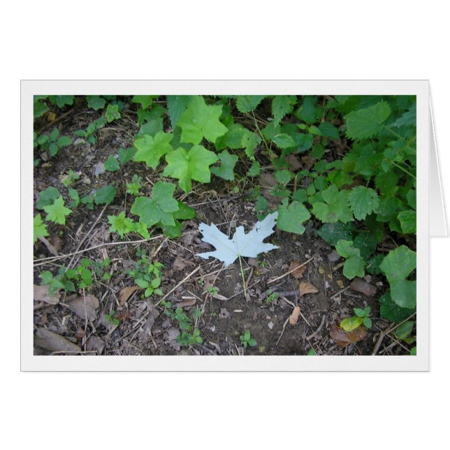 Uitstekend (Voorkant Horizontaal)