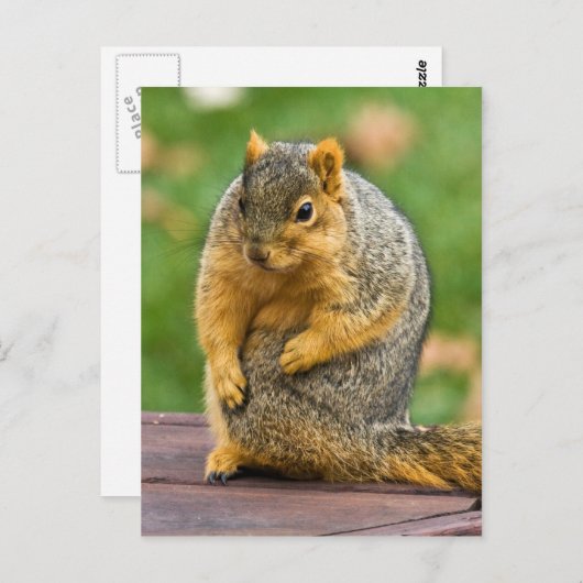 Uitstekend Briefkaart (Voorkant / Achterkant)