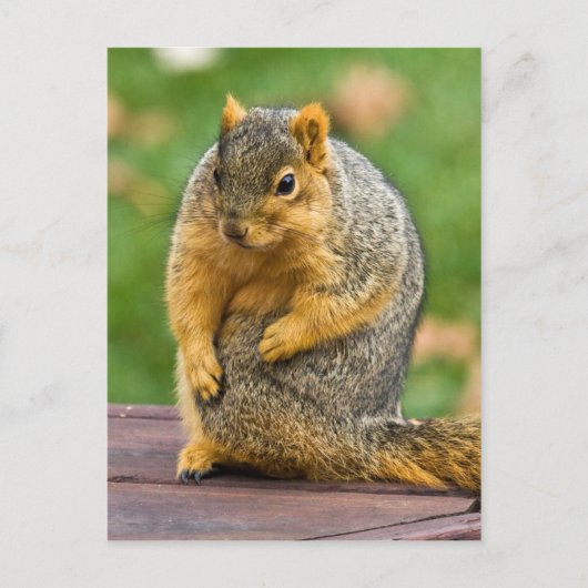 Uitstekend Briefkaart (Voorkant)