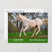 Uitstekend briefkaart Emmer (Voorkant / Achterkant)