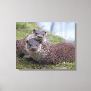 Uitstekend in Love Wrapped Canvas Print