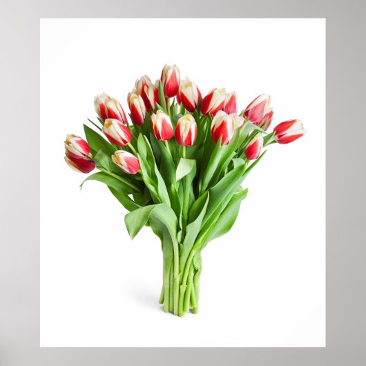 Uitstekend Poster van Flowers - Tulpen (Voorkant)