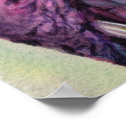 Uitstekend warmroze pacock poster (Hoek)