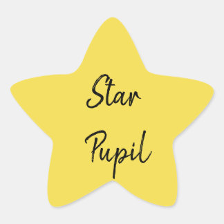 Uitstekende Leerling Ster Sticker