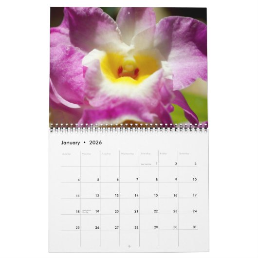 Uitstekende Orchideeën kalender (Jan 2026)