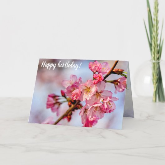 Uitstekende schoonheid van roze Sakura-bloemen in Kaart (Voorkant)