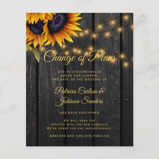 Uitstel van begrotingsuitstel voor zonnebloempitte flyer (Voorkant)