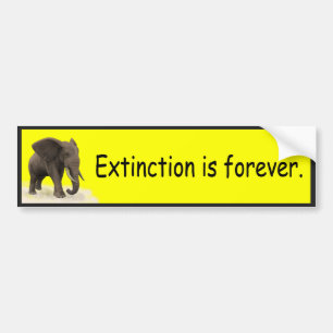 Uitsterven is voor altijd - bumpersticker