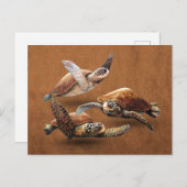 Uitsterven van zee schildpadden bespaart de schild briefkaart (Voorkant / Achterkant)