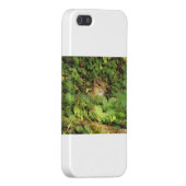 Uitstoot iPhone Hoesje (Achterkant Rechts)