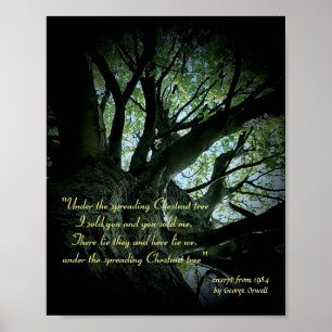 Uittreksel uit 1984 van George Orwell Poster