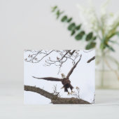 Uitvloeiing Briefkaart (Staand voorkant)