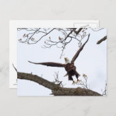 Uitvloeiing Briefkaart (Voorkant / Achterkant)