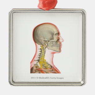 Uitwerping van de zenuwen van de nek metalen ornament