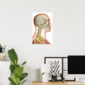 Uitwerping van de zenuwen van de nek poster (Thuiskantoor)