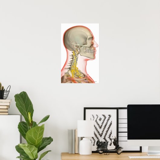 Uitwerping van de zenuwen van de nek poster (Thuiskantoor)