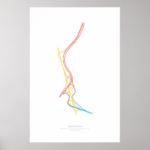 Uitwisselingschoreografie: Caguas, Puerto Rico Poster