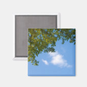uitzicht aan de hemel met boomtop magneet (Voorkant / Achterkant)