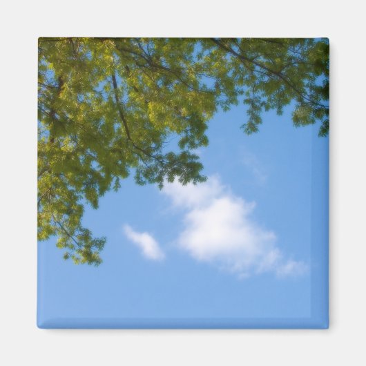 uitzicht aan de hemel met boomtop magneet (Voorkant)