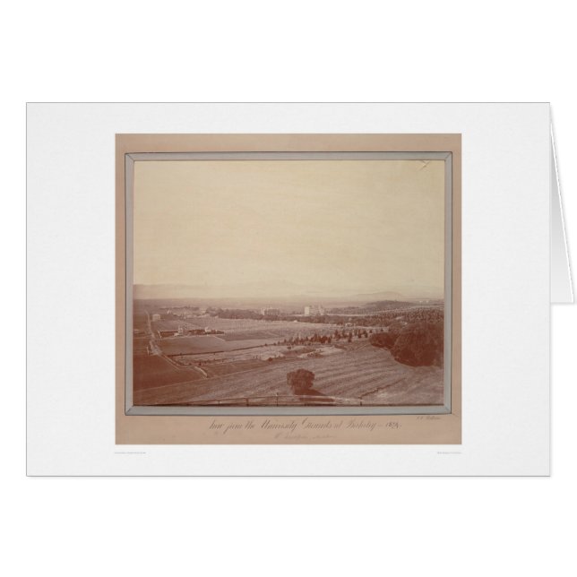 Uitzicht aan de universiteit... (1338) (Voorkant Horizontaal)