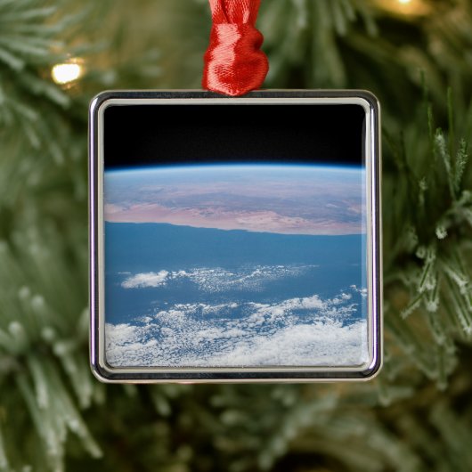 Uitzicht aan de zuidwestkust van Afrika. Metalen Ornament (Boom)