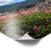 Uitzicht bij Rotonda Foto Afdruk (Hoek)