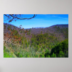 Uitzicht Blauwe Ridge Mountains Poster