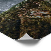 Uitzicht bosbrand in bergen poster (Hoek)