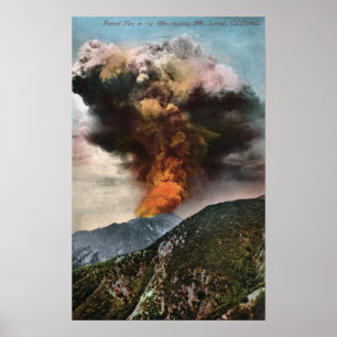 Uitzicht bosbrand in bergen poster