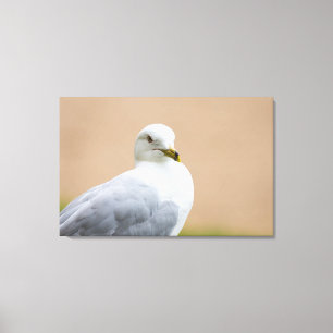 Uitzicht Canvas Afdruk