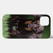 Uitzicht Dachshund met Dapple-kleurstof Case-Mate iPhone Case (Achterkant (horizontaal))