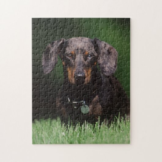 Uitzicht Dachshund met Dapple-kleurstof Legpuzzel (Verticaal)