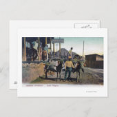 Uitzicht Donkeys Carrying WaterBisbee, AZ Briefkaart (Voorkant / Achterkant)