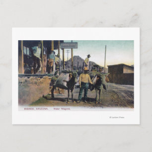 Uitzicht Donkeys Carrying WaterBisbee, AZ Briefkaart