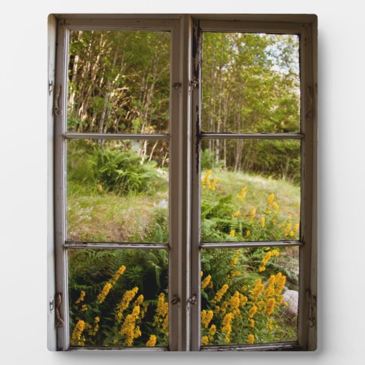 Uitzicht door oud venster fotoplaat (Voorkant)