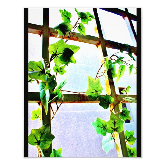 Uitzicht Foto Afdruk (Voorkant)