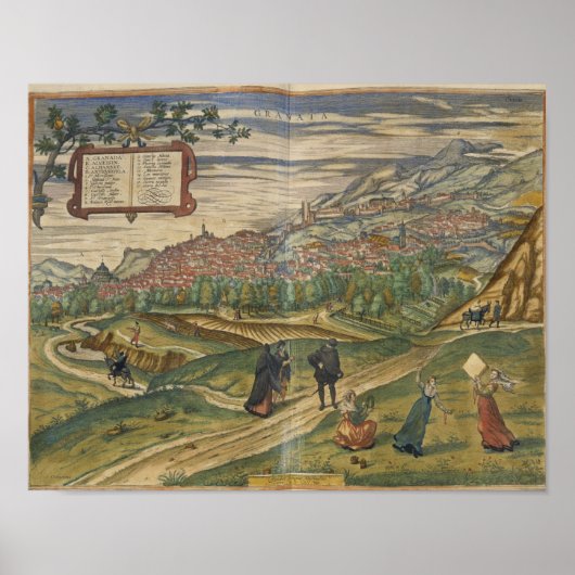 Uitzicht Granada Poster (Voorkant)