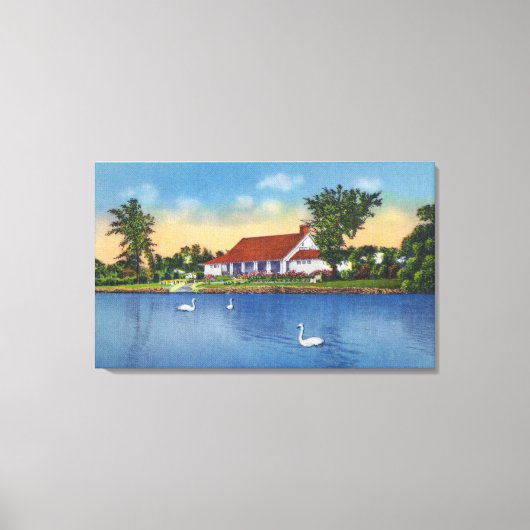 Uitzicht Hoopes Park Swans op het meer Canvas Afdruk (Voorkant)